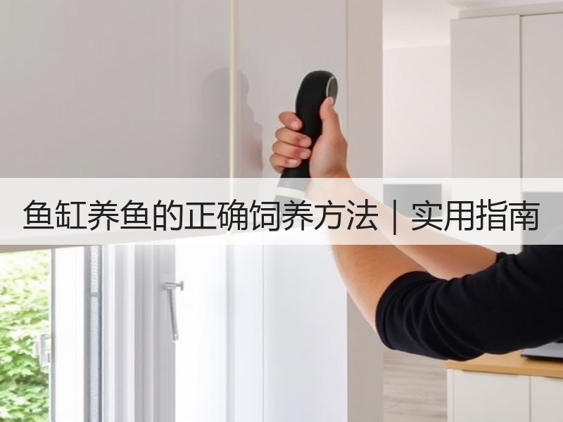鱼缸养鱼的正确饲养方法｜实用指南