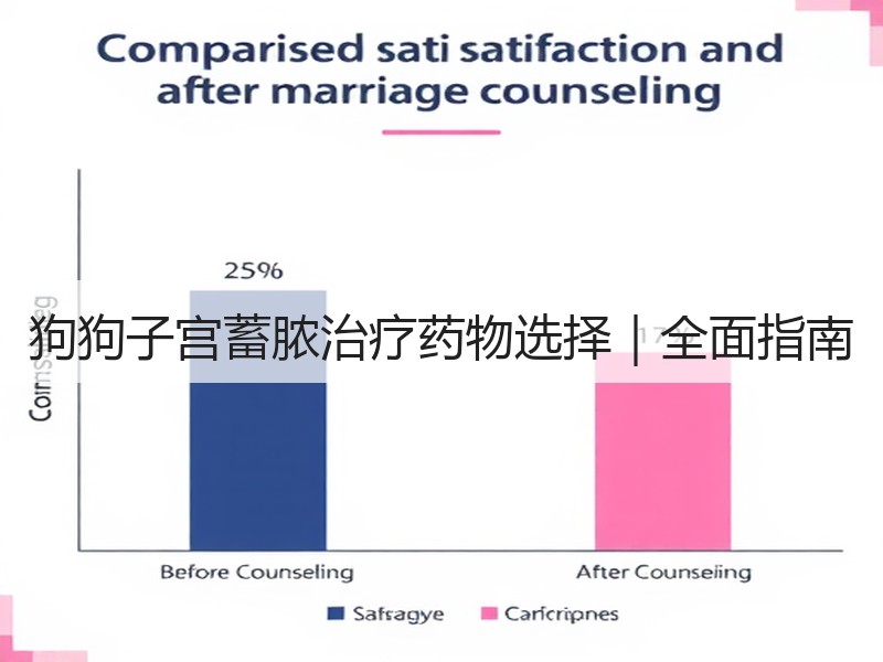 狗狗子宫蓄脓治疗药物选择｜全面指南
