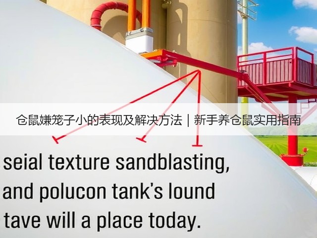 仓鼠嫌笼子小的表现及解决方法|新手养仓鼠实用指南(图1) 仓鼠嫌笼子小的表现及解决方法|新手养仓鼠实用指南(图1)