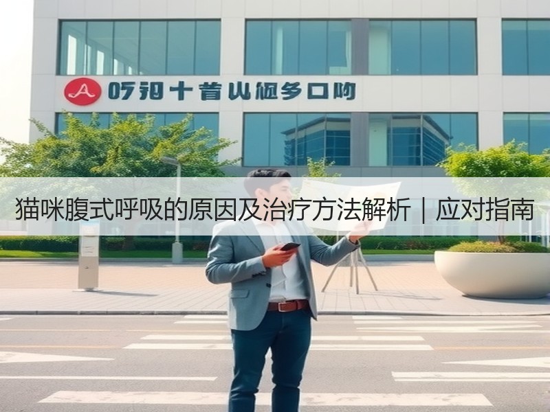 猫咪腹式呼吸的原因及治疗方法解析｜应对指南