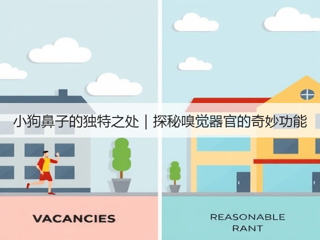 小狗鼻子的独特之处|探秘嗅觉器官的奇妙功能(图1) 小狗鼻子的独特之处|探秘嗅觉器官的奇妙功能(图1)