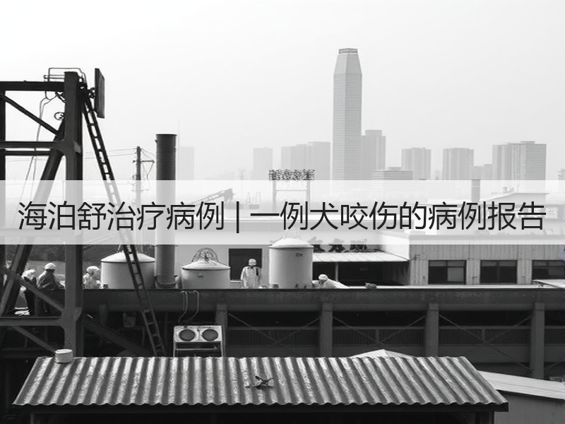 海泊舒治疗病例 | 一例犬咬伤的病例报告