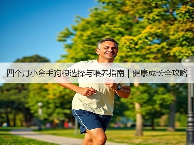 四个月小金毛狗粮选择与喂养指南|健康成长全攻略(图1) 四个月小金毛狗粮选择与喂养指南|健康成长全攻略(图1)