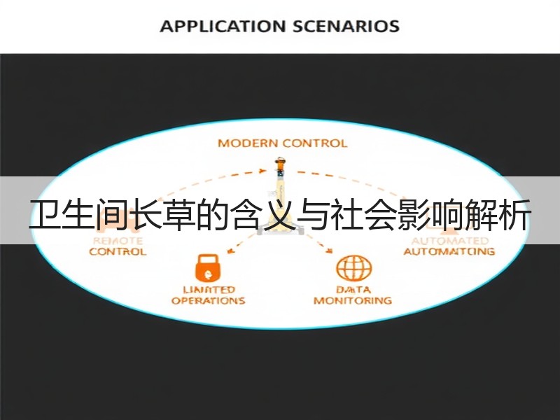 卫生间长草的含义与社会影响解析