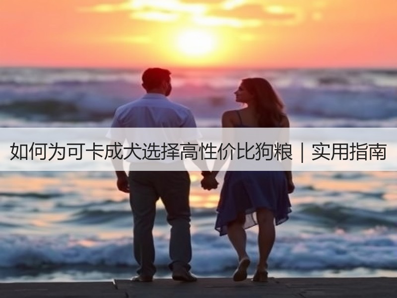 如何为可卡成犬选择高性价比狗粮｜实用指南
