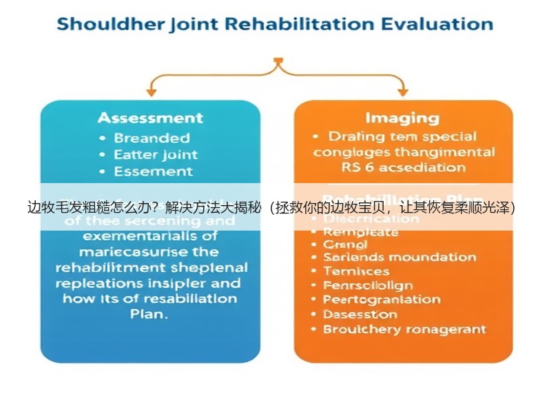 边牧毛发粗糙怎么办？解决方法大揭秘（拯救你的边牧宝贝，让其恢复柔顺光泽）