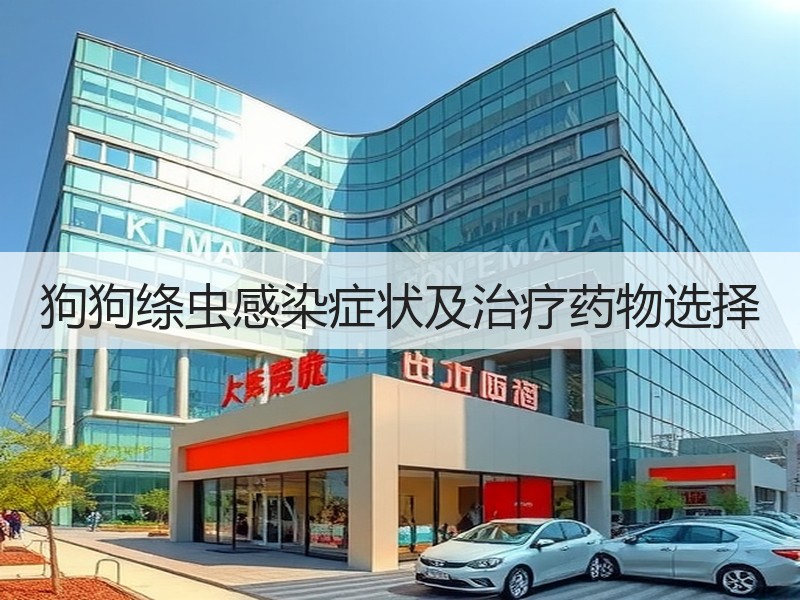 狗狗绦虫感染症状及治疗药物选择