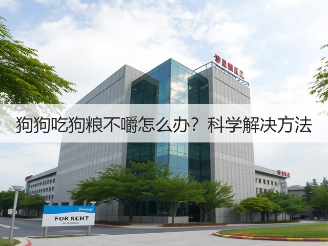 狗狗吃狗粮不嚼怎么办?科学解决方法(图2) 狗狗吃狗粮不嚼怎么办?科学解决方法(图2)