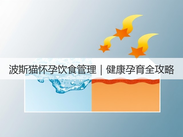 波斯猫怀孕饮食管理｜健康孕育全攻略(图2)