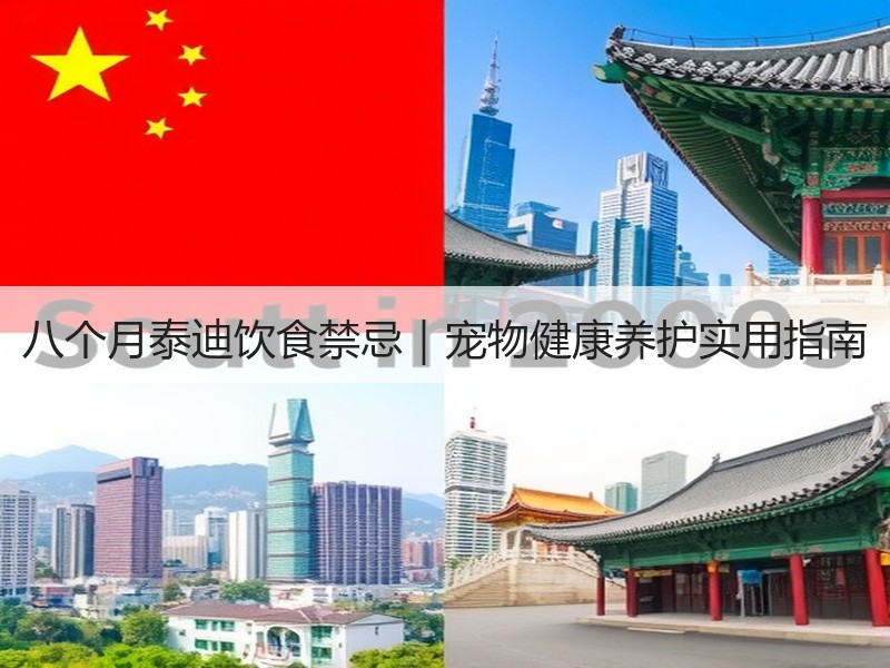 八个月泰迪饮食禁忌｜宠物健康养护实用指南