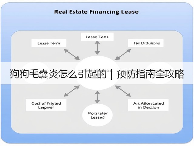 狗狗毛囊炎怎么引起的|预防指南全攻略(图2) 狗狗毛囊炎怎么引起的|预防指南全攻略(图2)