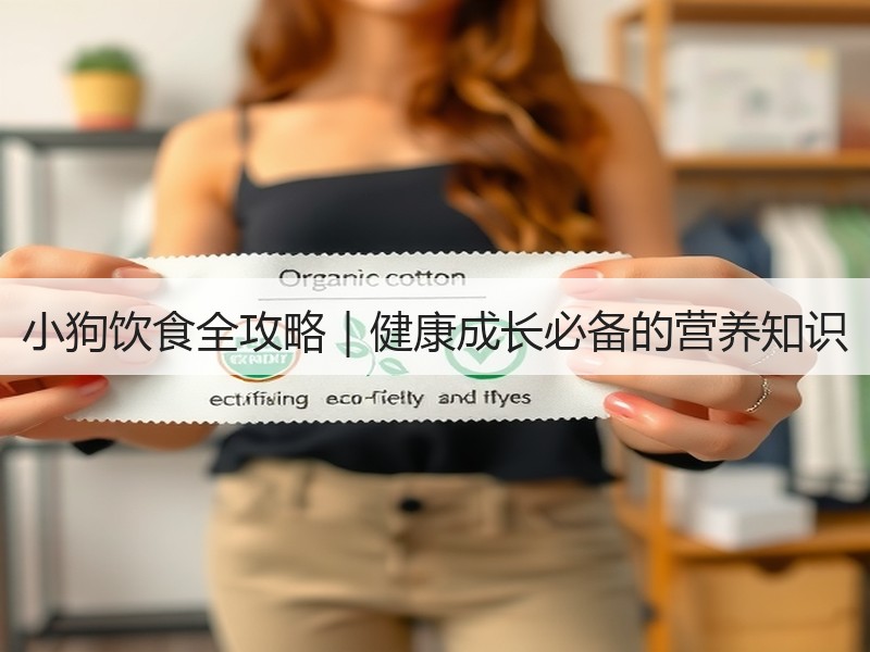 小狗饮食全攻略｜健康成长必备的营养知识