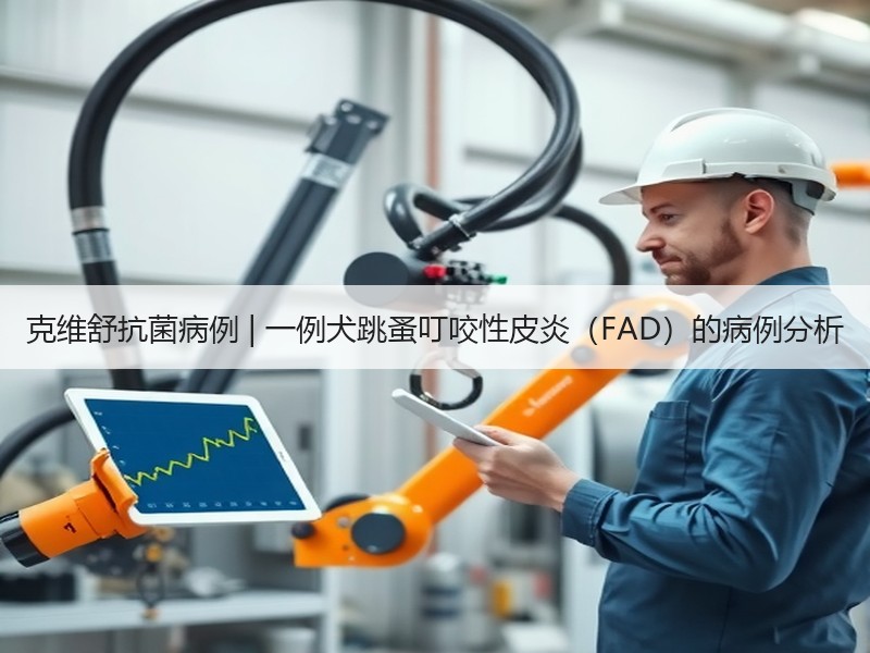 克维舒抗菌病例 | 一例犬跳蚤叮咬性皮炎（FAD）的病例分析