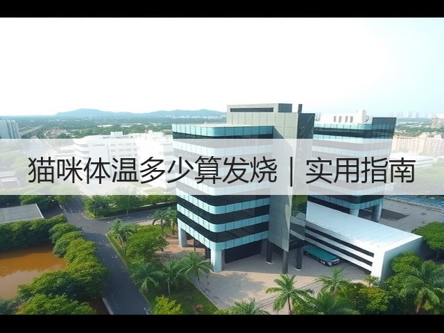 猫咪体温多少算发烧|实用指南(图2) 猫咪体温多少算发烧|实用指南(图2)
