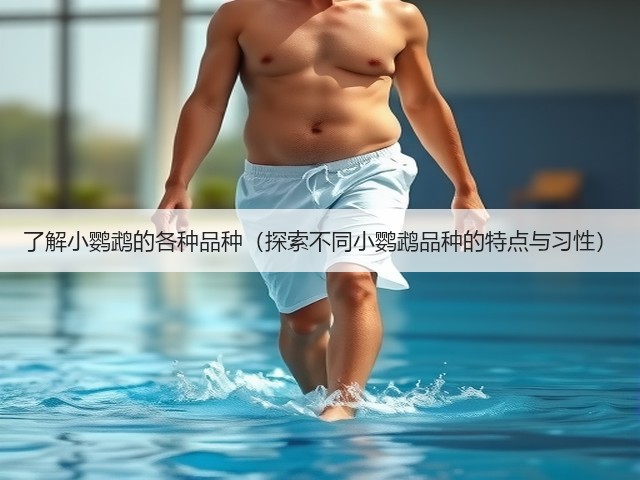 了解小鹦鹉的各种品种（探索不同小鹦鹉品种的特点与习性）(图3)