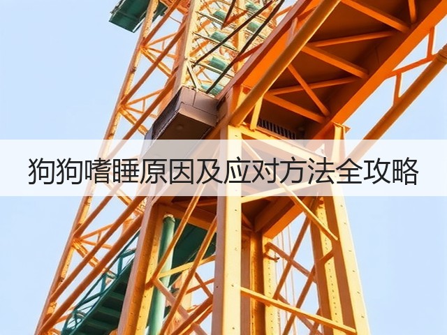 狗狗嗜睡原因及应对方法全攻略(图1) 狗狗嗜睡原因及应对方法全攻略(图1)
