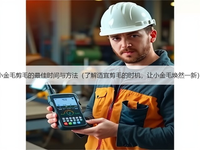 小金毛剪毛的最佳时间与方法(了解适宜剪毛的时机,让小金毛焕然一新)(图3) 小金毛剪毛的最佳时间与方法(了解适宜剪毛的时机,让小金毛焕然一新)(图3)