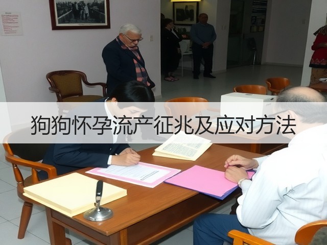 狗狗怀孕流产征兆及应对方法(图2) 狗狗怀孕流产征兆及应对方法(图2)