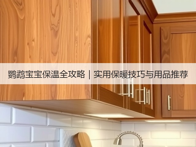 鹦鹉宝宝保温全攻略|实用保暖技巧与用品推荐(图2) 鹦鹉宝宝保温全攻略|实用保暖技巧与用品推荐(图2)