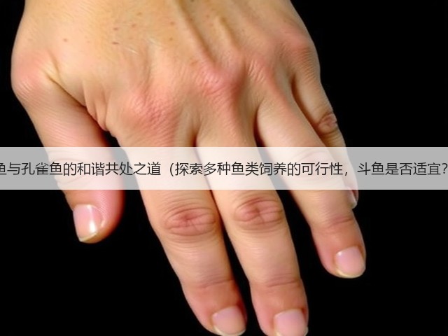 燕鱼与孔雀鱼的和谐共处之道(探索多种鱼类饲养的可行性,斗鱼是否适宜?)(图2) 燕鱼与孔雀鱼的和谐共处之道(探索多种鱼类饲养的可行性,斗鱼是否适宜?)(图2)