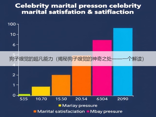 狗子嗅觉的超凡能力(揭秘狗子嗅觉的神奇之处——一个解读)(图3) 狗子嗅觉的超凡能力(揭秘狗子嗅觉的神奇之处——一个解读)(图3)