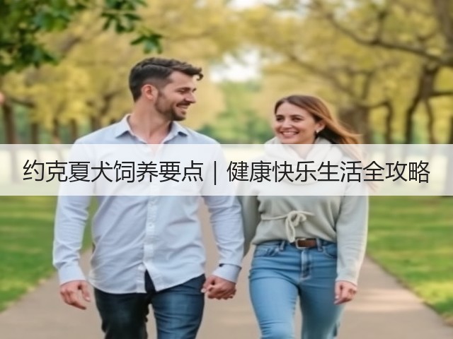 约克夏犬饲养要点|健康快乐生活全攻略(图3) 约克夏犬饲养要点|健康快乐生活全攻略(图3)