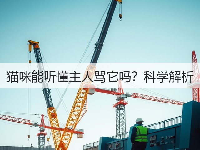 猫咪能听懂主人骂它吗?科学解析(图2) 猫咪能听懂主人骂它吗?科学解析(图2)