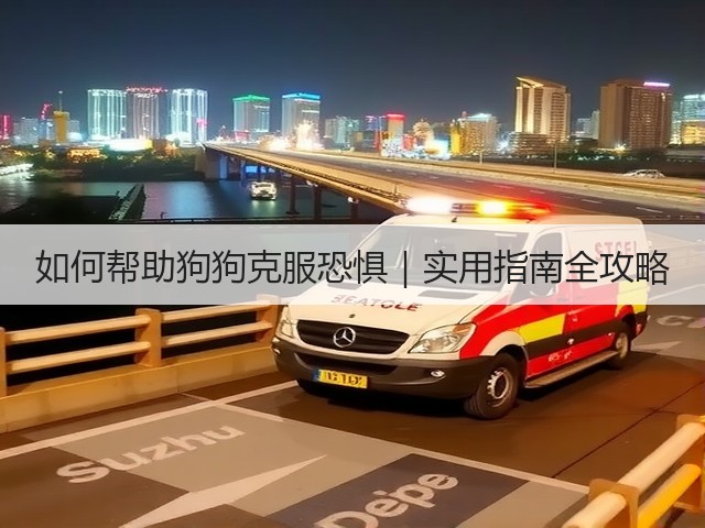 如何帮助狗狗克服恐惧|实用指南全攻略(图1) 如何帮助狗狗克服恐惧|实用指南全攻略(图1)