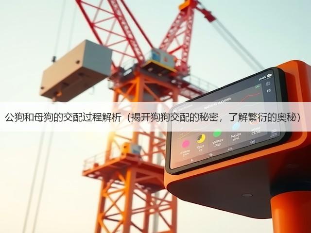公狗和母狗的交配过程解析(揭开狗狗交配的秘密,了解繁衍的奥秘)(图3) 公狗和母狗的交配过程解析(揭开狗狗交配的秘密,了解繁衍的奥秘)(图3)