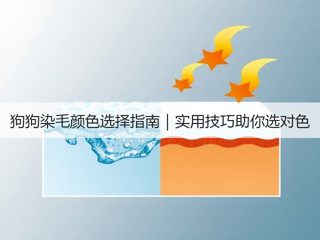 狗狗染毛颜色选择指南|实用技巧助你选对色(图3) 狗狗染毛颜色选择指南|实用技巧助你选对色(图3)