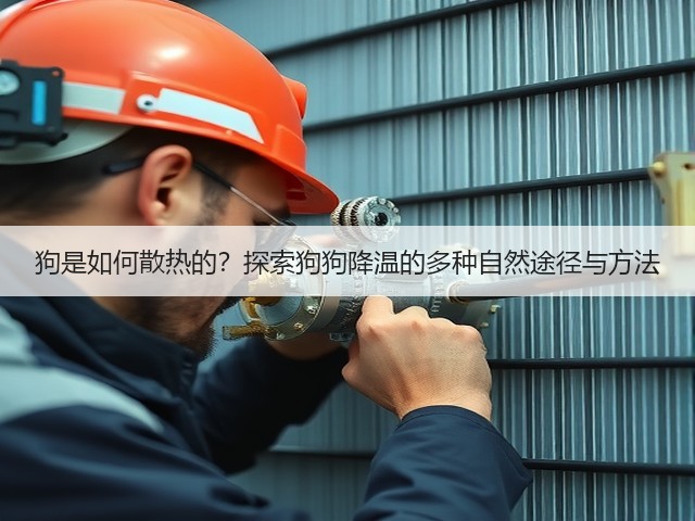 狗是如何散热的?探索狗狗降温的多种自然途径与方法(图2) 狗是如何散热的?探索狗狗降温的多种自然途径与方法(图2)