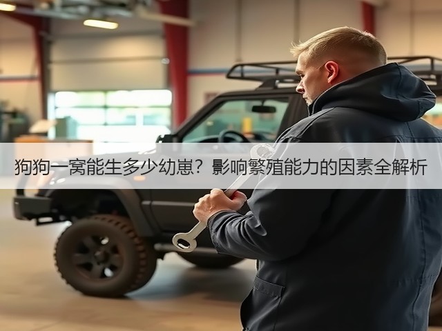 狗狗一窝能生多少幼崽?影响繁殖能力的因素全解析(图2) 狗狗一窝能生多少幼崽?影响繁殖能力的因素全解析(图2)