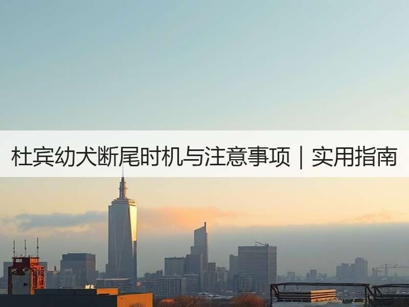 杜宾幼犬断尾时机与注意事项｜实用指南