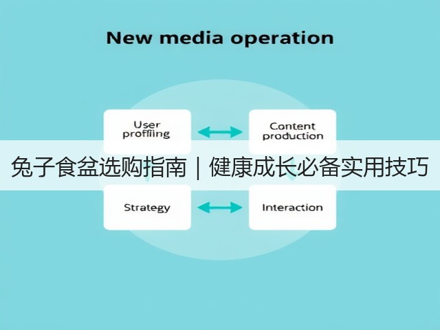 兔子食盆选购指南|健康成长必备实用技巧(图2) 兔子食盆选购指南|健康成长必备实用技巧(图2)