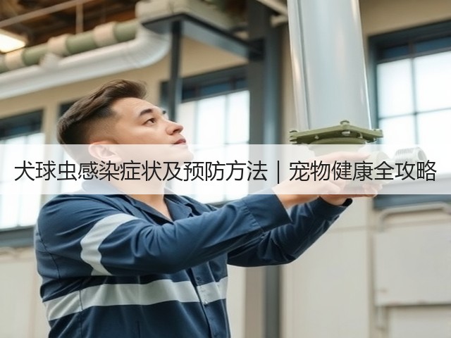 犬球虫感染症状及预防方法|宠物健康全攻略(图3) 犬球虫感染症状及预防方法|宠物健康全攻略(图3)