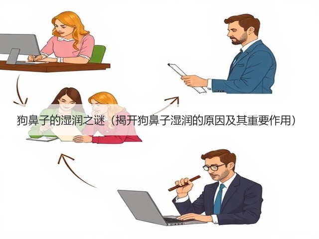 狗鼻子的湿润之谜(揭开狗鼻子湿润的原因及其重要作用)(图1) 狗鼻子的湿润之谜(揭开狗鼻子湿润的原因及其重要作用)(图1)