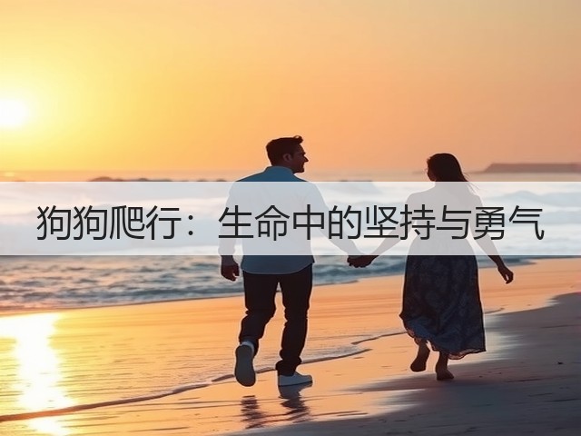 狗狗爬行:生命中的坚持与勇气(图2) 狗狗爬行:生命中的坚持与勇气(图2)