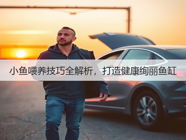 小鱼喂养技巧全解析,打造健康绚丽鱼缸(图1) 小鱼喂养技巧全解析,打造健康绚丽鱼缸(图1)