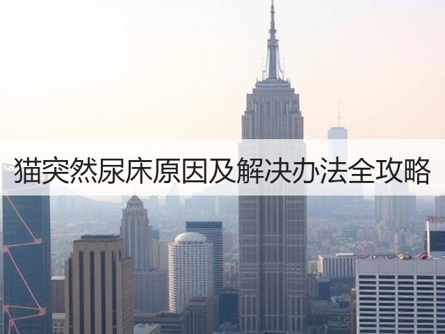 猫突然尿床原因及解决办法全攻略(图2) 猫突然尿床原因及解决办法全攻略(图2)