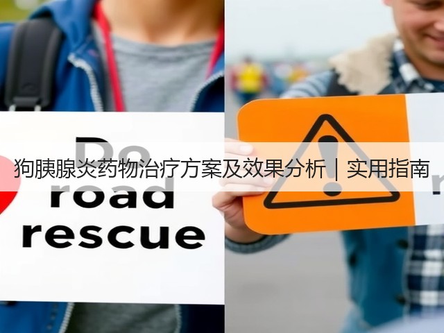 狗胰腺炎药物治疗方案及效果分析|实用指南(图2) 狗胰腺炎药物治疗方案及效果分析|实用指南(图2)