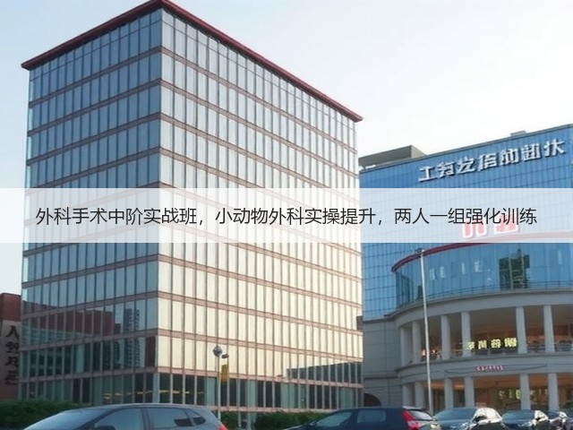 外科手术中阶实战班,小动物外科实操提升,两人一组强化训练(图3) 外科手术中阶实战班,小动物外科实操提升,两人一组强化训练(图3)
