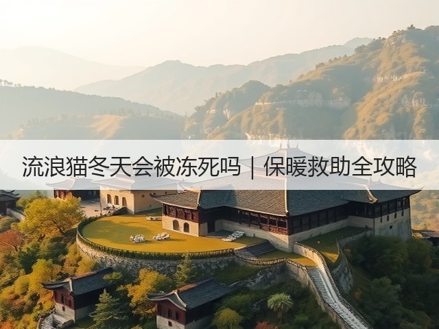 流浪猫冬天会被冻死吗｜保暖救助全攻略(图2)