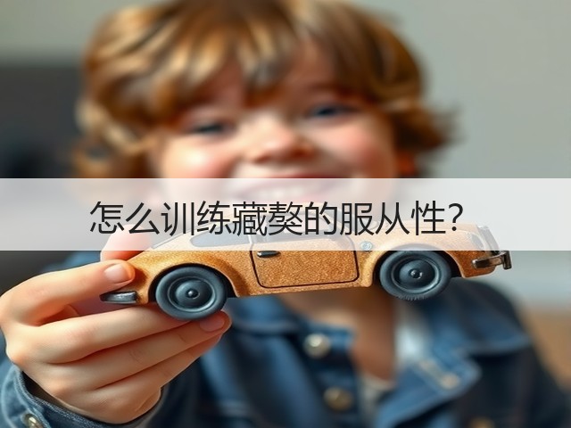 怎么训练藏獒的服从性?(图2) 怎么训练藏獒的服从性?(图2)