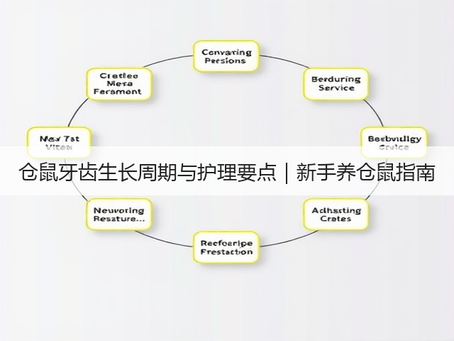 仓鼠牙齿生长周期与护理要点｜新手养仓鼠指南(图1)