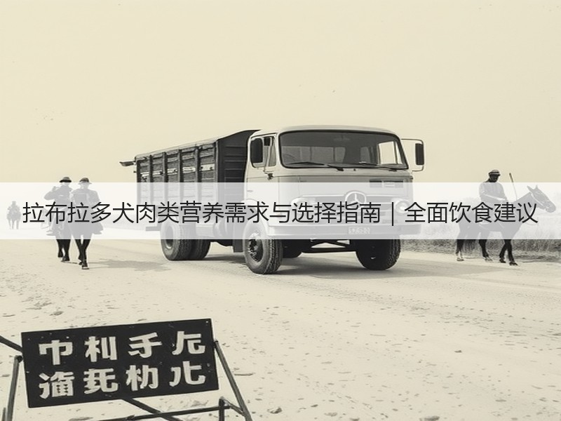 拉布拉多犬肉类营养需求与选择指南｜全面饮食建议