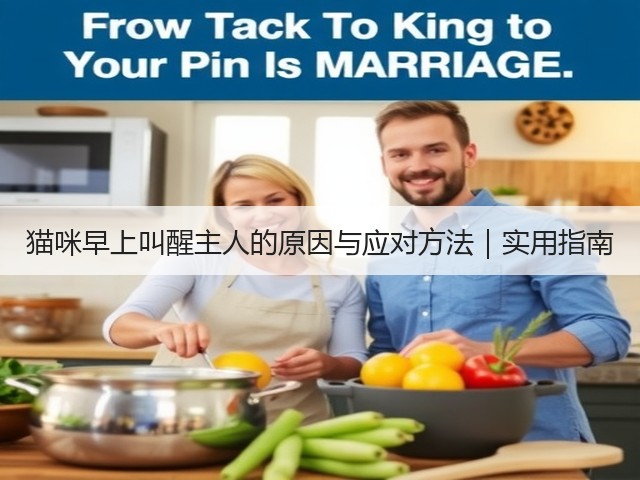 猫咪早上叫醒主人的原因与应对方法|实用指南(图2) 猫咪早上叫醒主人的原因与应对方法|实用指南(图2)