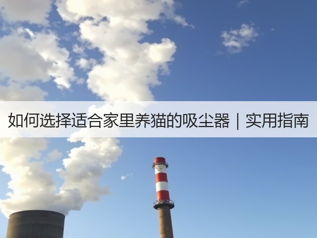 如何选择适合家里养猫的吸尘器|实用指南(图2) 如何选择适合家里养猫的吸尘器|实用指南(图2)