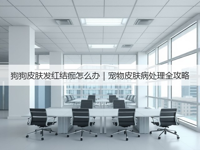 狗狗皮肤发红结痂怎么办｜宠物皮肤病处理全攻略(图3)
