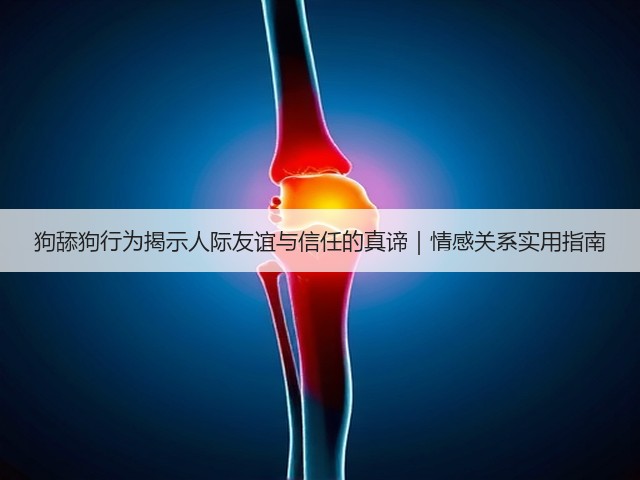 狗舔狗行为揭示人际友谊与信任的真谛|情感关系实用指南(图3) 狗舔狗行为揭示人际友谊与信任的真谛|情感关系实用指南(图3)