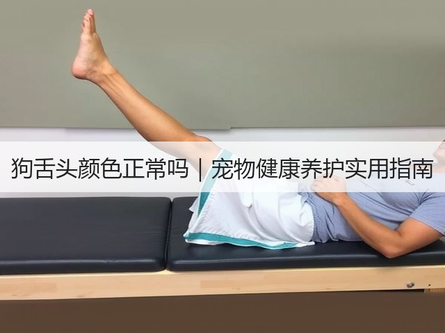狗舌头颜色正常吗|宠物健康养护实用指南(图1) 狗舌头颜色正常吗|宠物健康养护实用指南(图1)